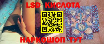 дурь Сланцы