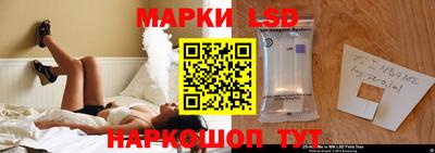 дурь Сланцы