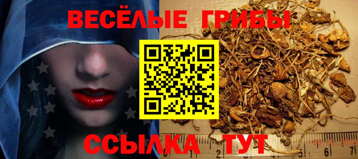 Галлюциногенные грибы мицелий Павловский Посад