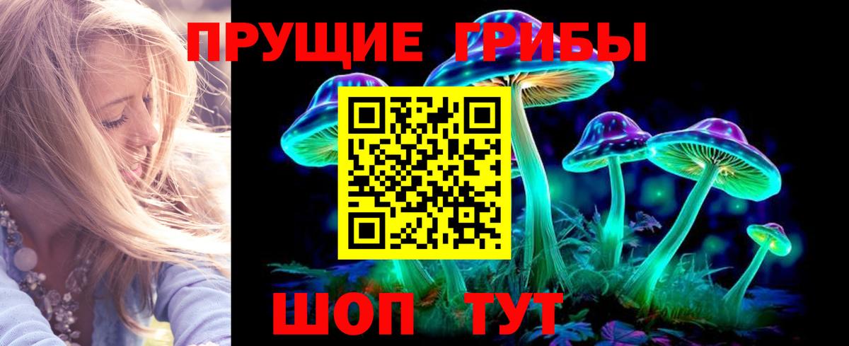 Павловский Посад  Галлюциногенные грибы GOLDEN TEACHER  Вход с VPN  Псилоцибиновые грибы MAGIC MUSHROOMS 