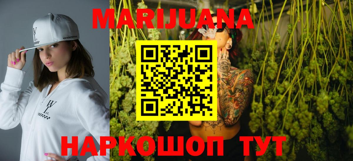 Конопля гибрид Павловский Посад